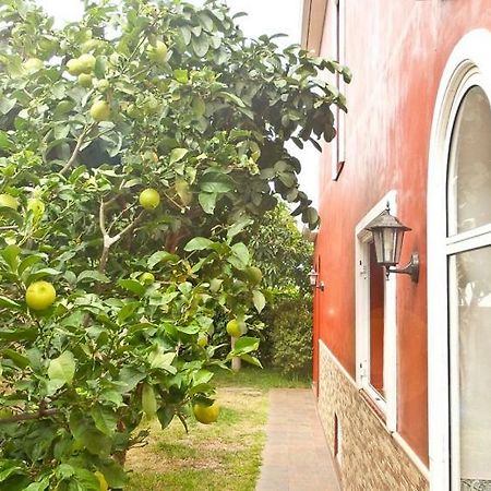 Casa Buganvilla Los Realejos Exterior foto